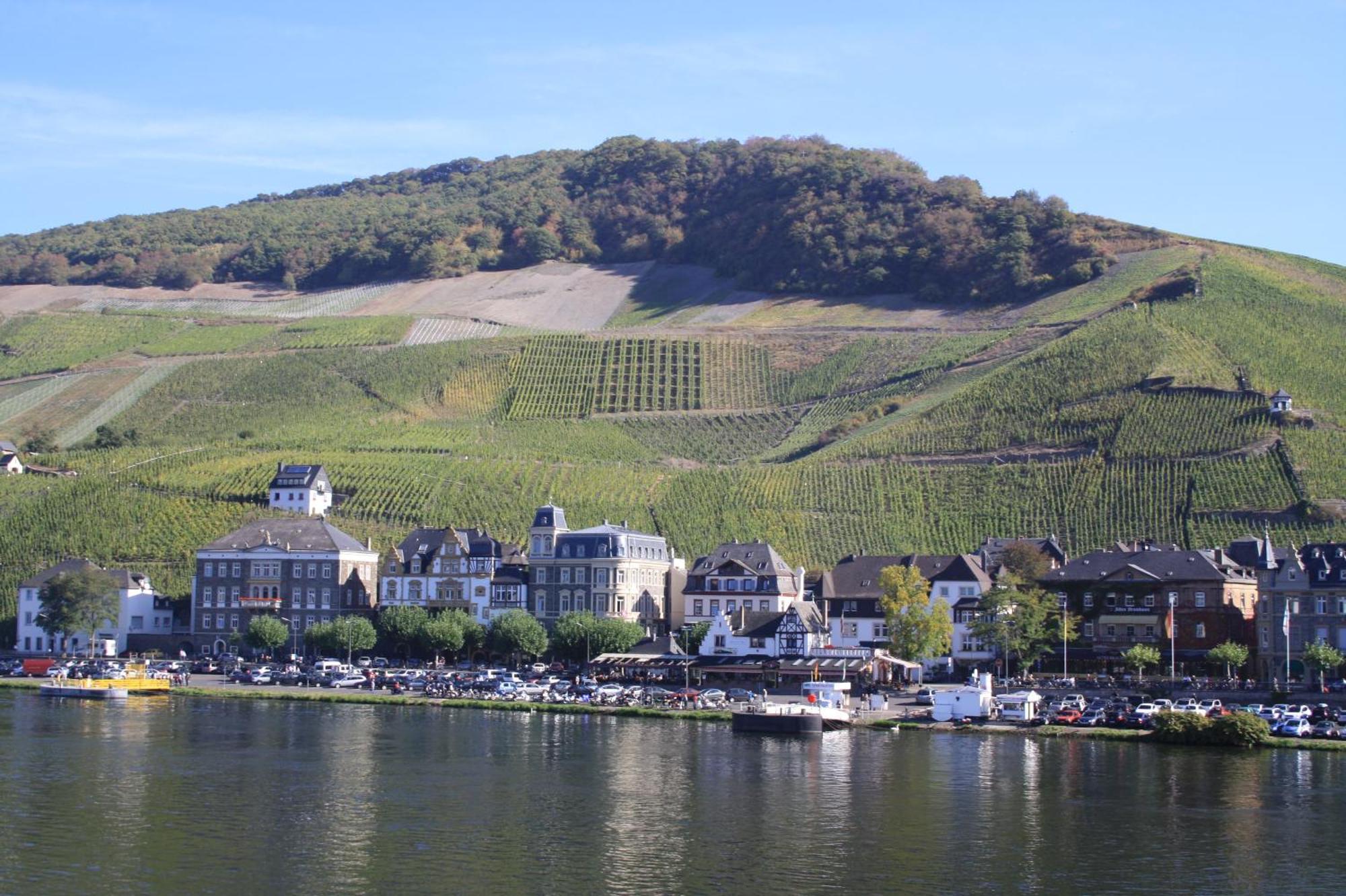 Gästehaus Weingut Mathy-Schanz Osann-Monzel Exterior foto